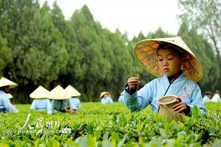 手感冰凉！欧文半场7中1仅拿3分2板3助